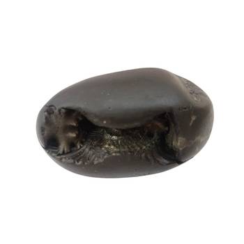 Natural Gandaki River Janardhan Shaligram Fossil For Tulsi Worship Stone In Medium Size (Max: 7 CM) 1