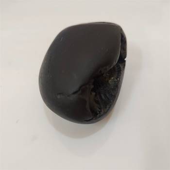 Natural Gandaki River Janardhan Shaligram Fossil For Tulsi Worship Stone In Medium Size (Max: 7 CM) 2