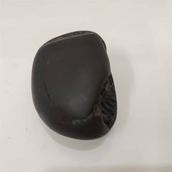 Natural Gandaki River Janardhan Shaligram Fossil For Tulsi Worship Stone In Medium Size (Max: 7 CM) 4