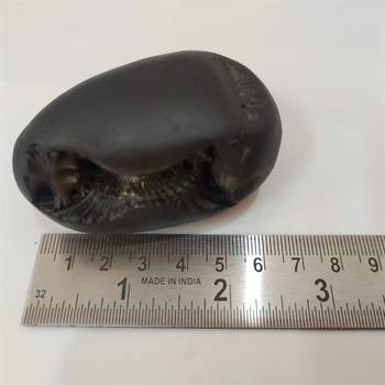 Natural Gandaki River Janardhan Shaligram Fossil For Tulsi Worship Stone In Medium Size (Max: 7 CM) 5