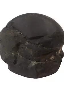 Gandaki River Sudarshan Shaligram Lord Shri Vishnu Shila For Worship Stone In Medium Size (Max: 7 CM)