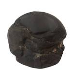 Gandaki River Sudarshan Shaligram Lord Shri Vishnu Shila For Worship Stone In Medium Size (Max: 7 CM)