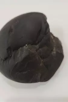 Gandaki River Sudarshan Shaligram Lord Shri Vishnu Shila For Worship Stone In Medium Size (Max: 7 CM)