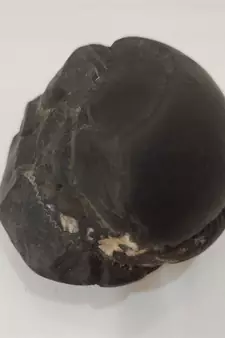 Gandaki River Sudarshan Shaligram Lord Shri Vishnu Shila For Worship Stone In Medium Size (Max: 7 CM)