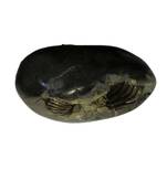 Nepal Gandaki River Pitambara Shaligram Lord Shri Vishnu Shila Stone For Worship In Medium Size (Max: 7 CM)