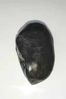 Nepal Gandaki River Pitambara Shaligram Lord Shri Vishnu Shila Stone For Worship In Medium Size (Max: 7 CM)