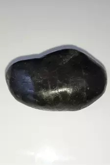 Nepal Gandaki River Pitambara Shaligram Lord Shri Vishnu Shila Stone For Worship In Medium Size (Max: 7 CM)