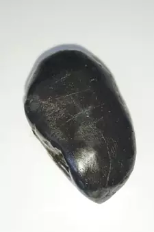 Nepal Gandaki River Pitambara Shaligram Lord Shri Vishnu Shila Stone For Worship In Medium Size (Max: 7 CM)