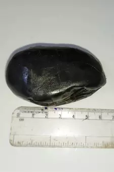 Nepal Gandaki River Pitambara Shaligram Lord Shri Vishnu Shila Stone For Worship In Medium Size (Max: 7 CM)