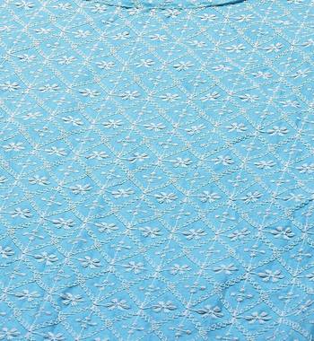 Blue Ethnic Motifs Embroidered Chikankari Kurti 4