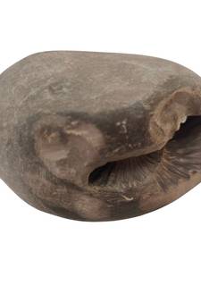 Nepal Gandaki River Aaditya Shaligram Bhagwan Shila For Tulsi Puja Stone In Large Size (Max:10 CM)