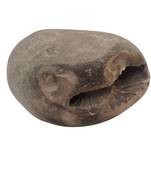 Nepal Gandaki River Aaditya Shaligram Bhagwan Shila For Tulsi Puja Stone In Large Size (Max:10 CM)