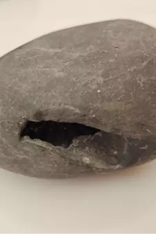 Nepal Gandaki River Aaditya Shaligram Bhagwan Shila For Tulsi Puja Stone In Large Size (Max:10 CM)