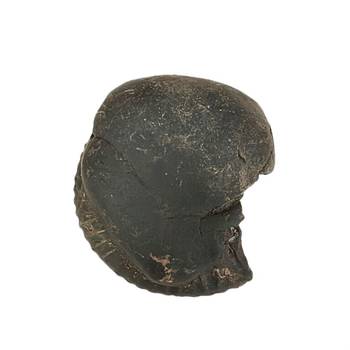 Nepal Gandaki River VishvaRupa Shaligram Lord Shri Vishnu Shila For Worship Large Size (Max: 10 CM) 1