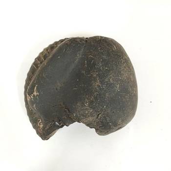 Nepal Gandaki River VishvaRupa Shaligram Lord Shri Vishnu Shila For Worship Large Size (Max: 10 CM) 3
