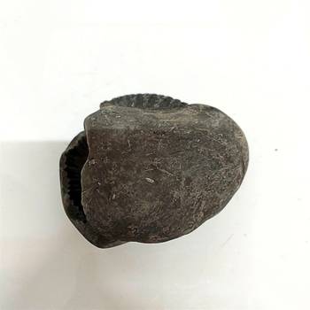 Original Gandaki River Jagad Yoni Shaligram Idol Lord Shri Vishnu For Tulsi Puja Stone In Large Size (Max: 10 CM) 3