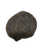 Original Gandaki River Surya Murti Shaligram Shila Stone For Puja In Large Size (Max: 10 CM)