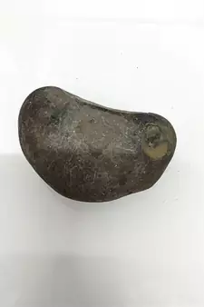 Nepal Gandaki River Aditya Shaligram Bhagwan Shila For Tulsi PujaStone In Large Size (Max: 10 CM)
