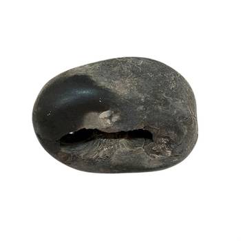Original Nepal Gandaki River Lord Shri Vishnu Shaligram Idol For Tulsi Puja in Large Size (Max: 10 CM) 1