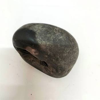 Original Nepal Gandaki River Lord Shri Vishnu Shaligram Idol For Tulsi Puja in Large Size (Max: 10 CM) 2