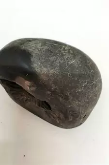 Original Nepal Gandaki River Lord Shri Vishnu Shaligram Idol For Tulsi Puja in Large Size (Max: 10 CM)