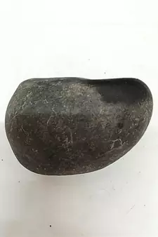 Original Nepal Gandaki River Lord Shri Vishnu Shaligram Idol For Tulsi Puja in Large Size (Max: 10 CM)