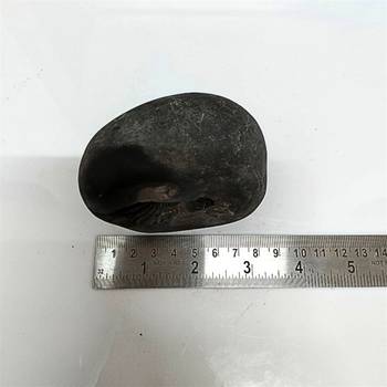 Original Nepal Gandaki River Lord Shri Vishnu Shaligram Idol For Tulsi Puja in Large Size (Max: 10 CM) 5
