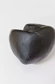 Nepal Gandaki River Govinda Shaligram Idol Lord Shri Vishnu Shila For Tulsi Puja In Large Size (Max: 10 CM)