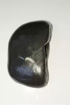 Natural Gandaki River Vasudev Shaligram Lord Shri Vishnu Idol For Tulsi Puja Stone In Large Size (Max: 10 CM)