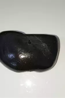 Natural Gandaki River Vasudev Shaligram Lord Shri Vishnu Idol For Tulsi Puja Stone In Large Size (Max: 10 CM)