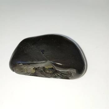 Natural Gandaki River Vasudev Shaligram Lord Shri Vishnu Idol For Tulsi Puja Stone In Large Size (Max: 10 CM) 4