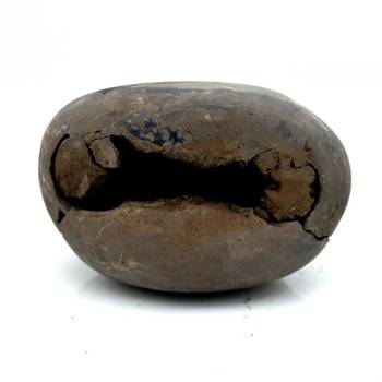 Nepal Gandaki River Original Shaligram Shila Idol Shri Vishnu For Tulsi Puja Stone Fossil In Size (Max: 5 CM) ID-101 1