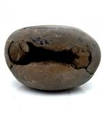 Nepal Gandaki River Original Shaligram Shila Idol Shri Vishnu For Tulsi Puja Stone Fossil In Size (Max: 5 CM) ID-101