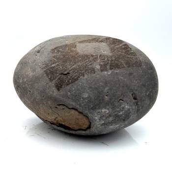 Nepal Gandaki River Original Shaligram Shila Idol Shri Vishnu For Tulsi Puja Stone Fossil In Size (Max: 5 CM) ID-101 3