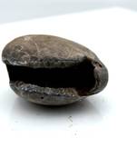 Nepal Gandaki River Original Shaligram Shila Idol Shri Vishnu For Tulsi Puja Stone Fossil In Size (Max: 5 CM) ID-103