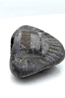 Nepal Gandaki River Original Shaligram Shila Idol Shri Vishnu For Tulsi Puja Stone Fossil In Size (Max: 5 CM) ID-104