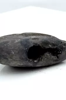 Nepal Gandaki River Original Shaligram Shila Idol Shri Vishnu For Tulsi Puja Stone Fossil In Size (Max: 5 CM) ID-104