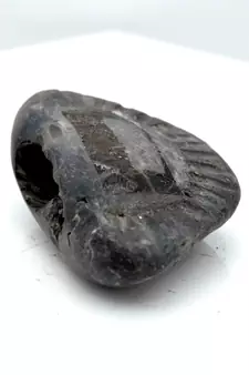 Nepal Gandaki River Original Shaligram Shila Idol Shri Vishnu For Tulsi Puja Stone Fossil In Size (Max: 5 CM) ID-104
