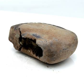 Nepal Gandaki River Original Shaligram Shila Idol Shri Vishnu For Tulsi Puja Stone Fossil In Size (Max: 5 CM) ID-105 3