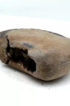 Nepal Gandaki River Original Shaligram Shila Idol Shri Vishnu For Tulsi Puja Stone Fossil In Size (Max: 5 CM) ID-105