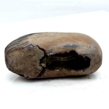 Nepal Gandaki River Original Shaligram Shila Idol Shri Vishnu For Tulsi Puja Stone Fossil In Size (Max: 5 CM) ID-105 4