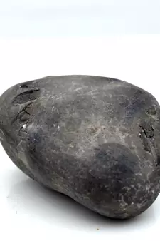 Nepal Gandaki River Original Shaligram Shila Idol Shri Vishnu For Tulsi Puja Stone Fossil In Size (Max: 5 CM) ID-106