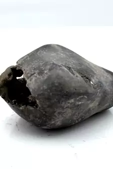Nepal Gandaki River Original Shaligram Shila Idol Shri Vishnu For Tulsi Puja Stone Fossil In Size (Max: 5 CM) ID-106