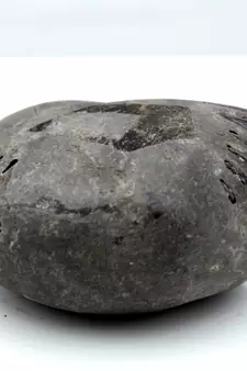 Nepal Gandaki River Original Shaligram Shila Idol Shri Vishnu For Tulsi Puja Stone Fossil In Size (Max: 5 CM) ID-107