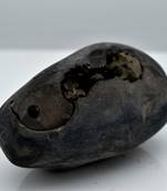 Nepal Gandaki River Original Shaligram Shila Idol Shri Vishnu For Tulsi Puja Stone Fossil In Size (Max: 5 CM) ID-109