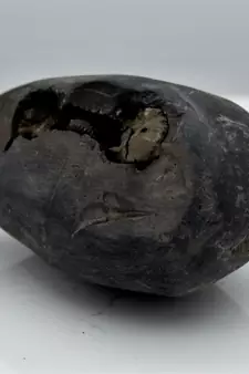 Nepal Gandaki River Original Shaligram Shila Idol Shri Vishnu For Tulsi Puja Stone Fossil In Size (Max: 5 CM) ID-109