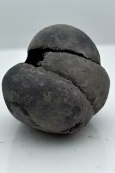 Nepal Gandaki River Original Shaligram Shila Idol Shri Vishnu For Tulsi Puja Stone Fossil In Size (Max: 5 CM) ID-110