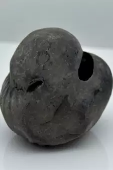 Nepal Gandaki River Original Shaligram Shila Idol Shri Vishnu For Tulsi Puja Stone Fossil In Size (Max: 5 CM) ID-110