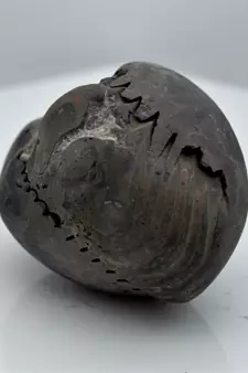 Nepal Gandaki River Original Shaligram Shila Idol Shri Vishnu For Tulsi Puja Stone Fossil In Size (Max: 5 CM) ID-111