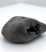 Nepal Gandaki River Original Shaligram Shila Idol Shri Vishnu For Tulsi Puja Stone Fossil In Size (Max: 5 CM) ID-112